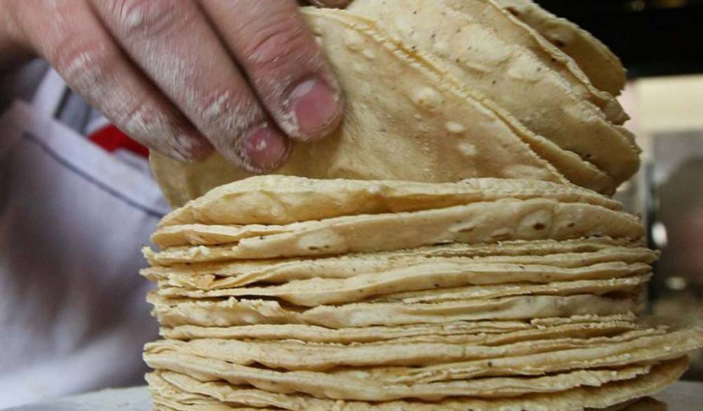 Sanciona Cofece a tortilleros por prácticas anticompetitivas