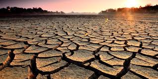 México ya padece los efectos de la escasez de agua: Imco