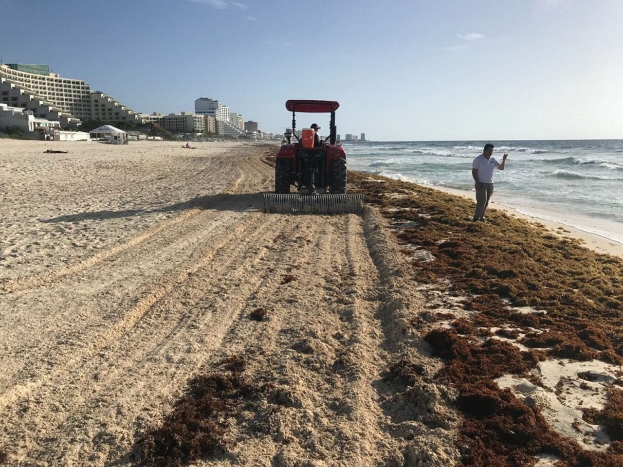 Vallas de contención de sargazo serán colocadas hoy en Playa del Carmen