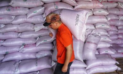 Entrega gobierno 12 mil mdp a productores de grano y leche