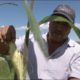Producción agrícola de México / @Agricultura_mex, agricultores