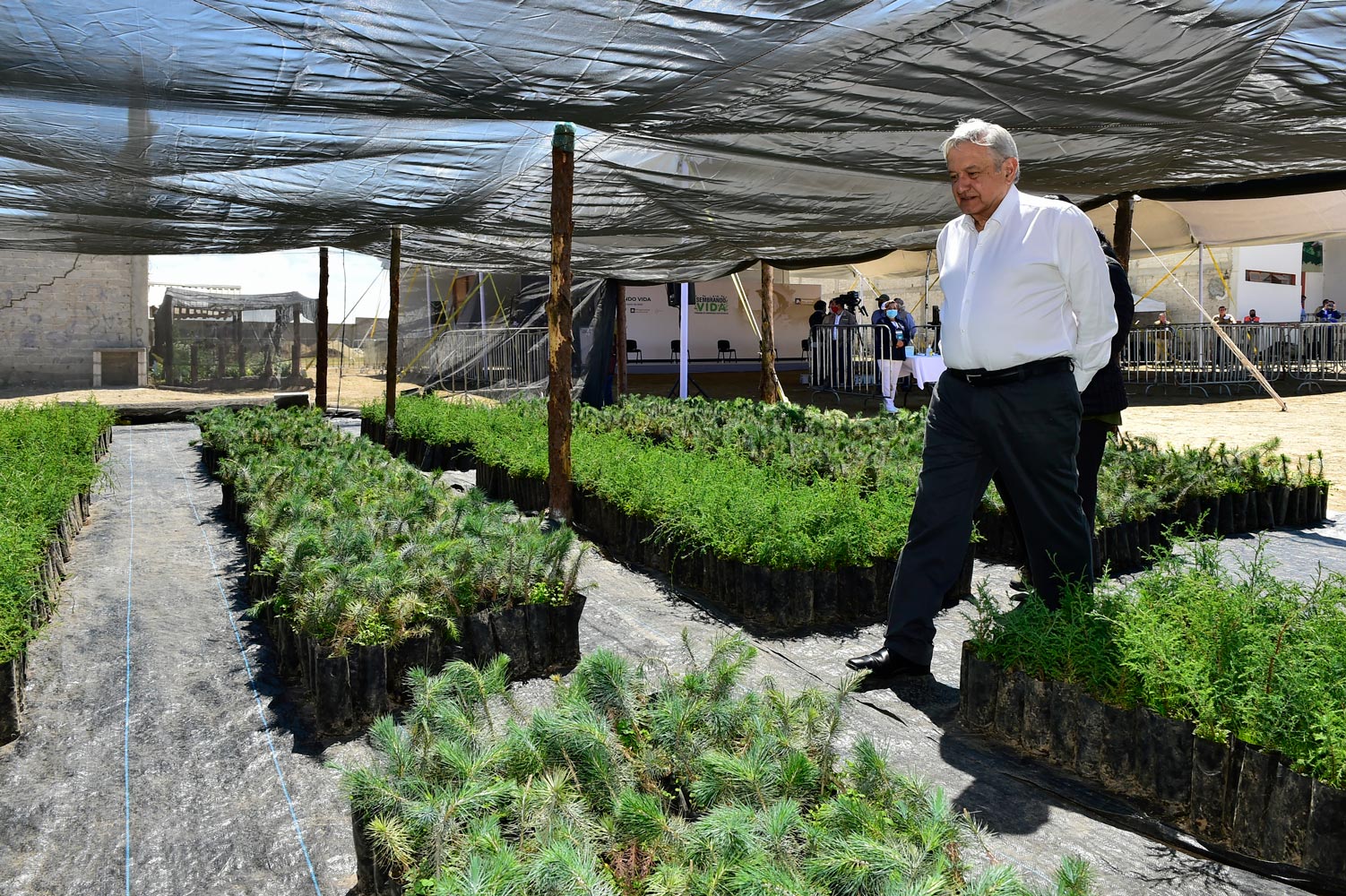 Sembrando Vida podría convertirse en ruta para residenciaen EU, sugiere AMLO a Biden