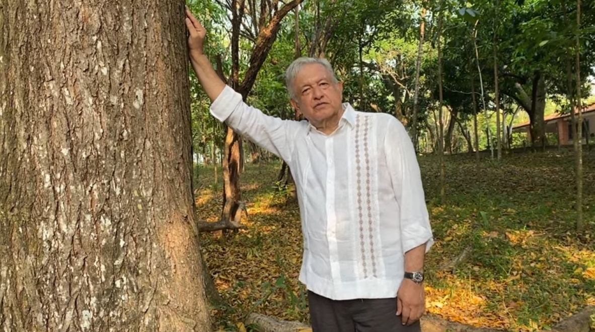 AMLO