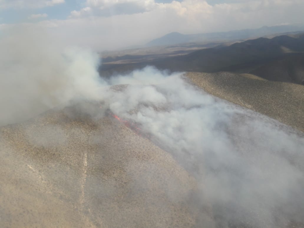 Emiten declaratoria de desastre natural por incendios en Nuevo León