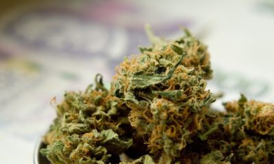 marihuana, cannabis