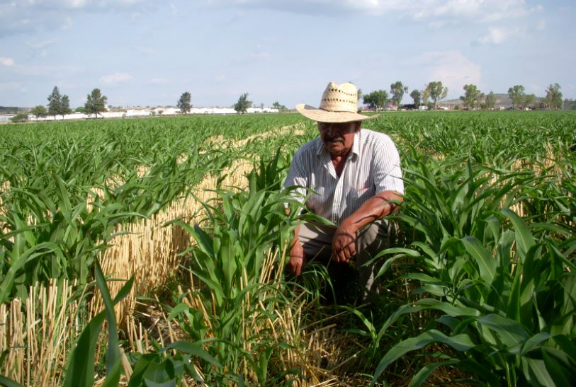 Hacienda eliminará el Programa de Aseguramiento Agropecuario