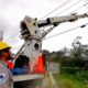 Reparación de instalaciones eléctricas, tras el paso del huracán Grace / CFE