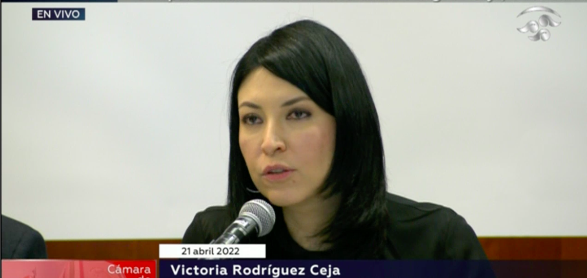 Comparecencia de Victoria Rodríguez en el Senado