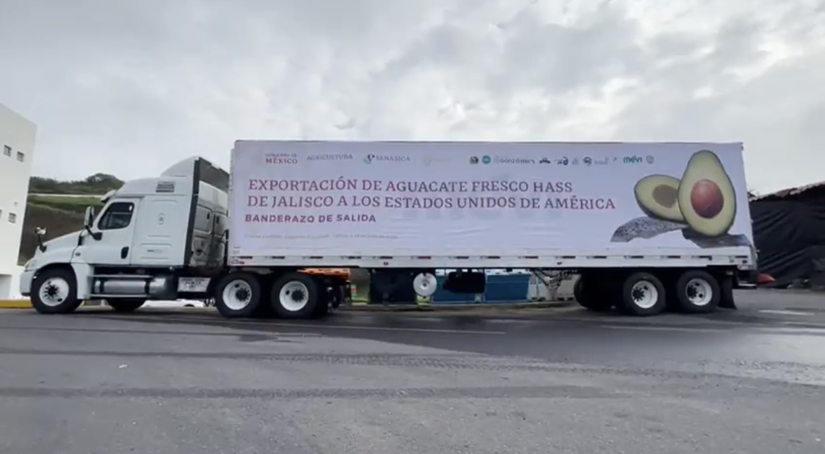 México inicia exportación de aguacate Hass de Jalisco a EU, tras 10 años de espera